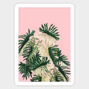Modern House plant in pink 12, Abstract Plant Art Sticker